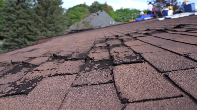Best Skylight Installation and Repair  in The Village Of Indian Hill, OH